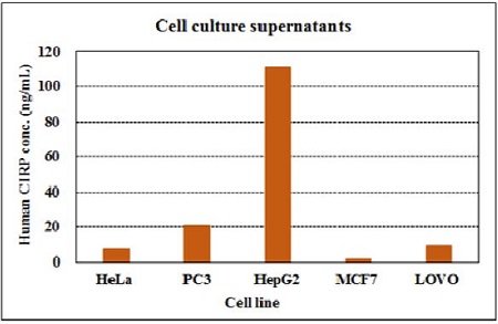 Human CIRP concentration in cell culture supernatants